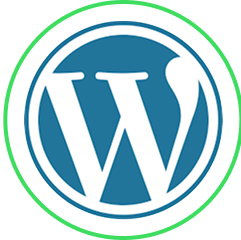 Custom WordPress Website